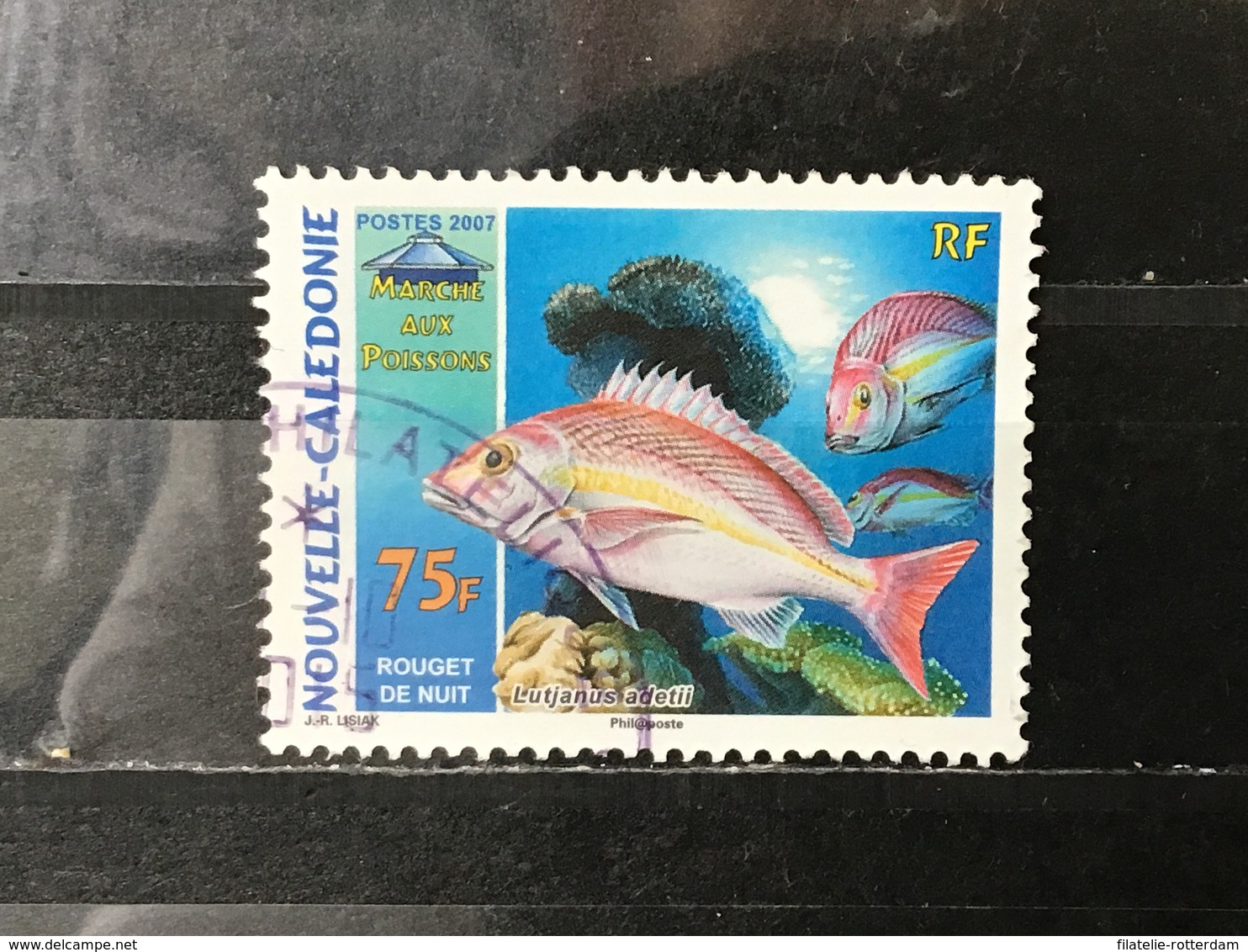 Nieuw-Caledonië / New Caledonia - Vissen (75) 2007 - Gebruikt
