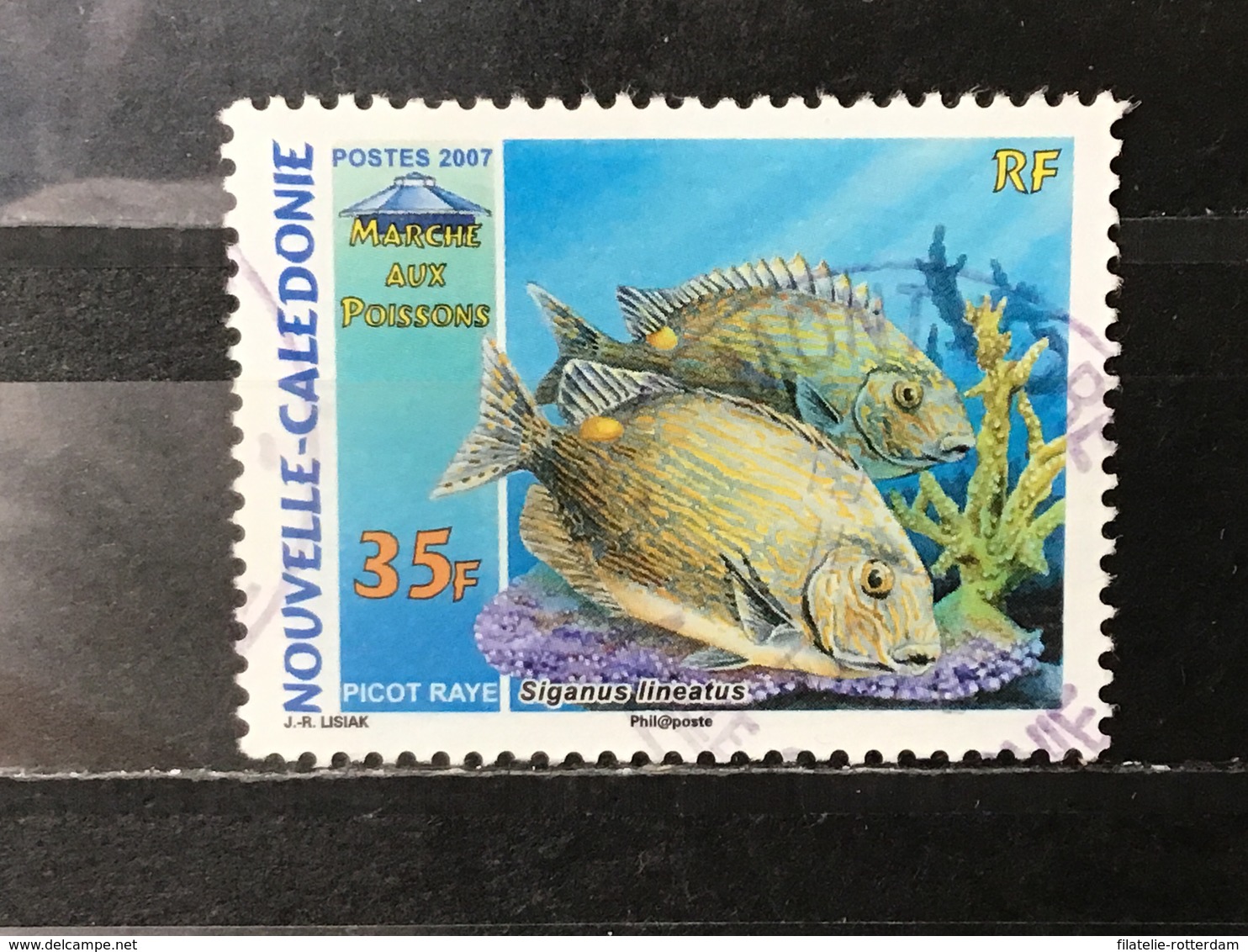 Nieuw-Caledonië / New Caledonia - Vissen (35) 2007 - Oblitérés