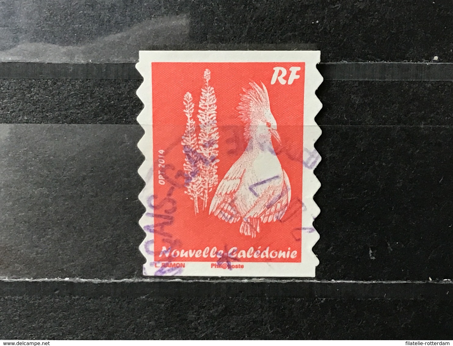 Nieuw-Caledonië / New Caledonia - Kagoe (RF) 2014 - Usados