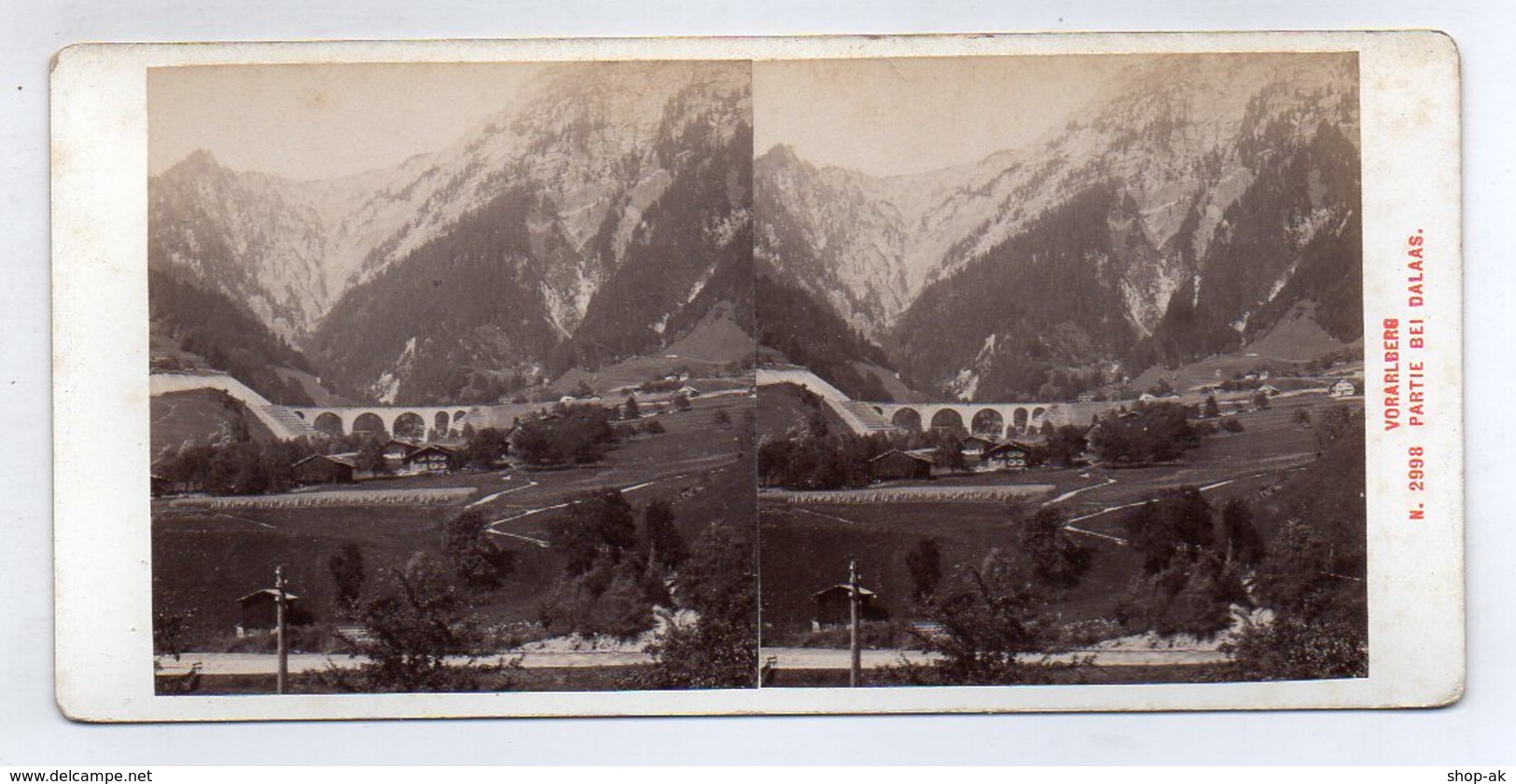 AK-1864/ Dalaas Vorarlberg  Stereofoto V Alois Beer ~ 1900 - Stereoscopio