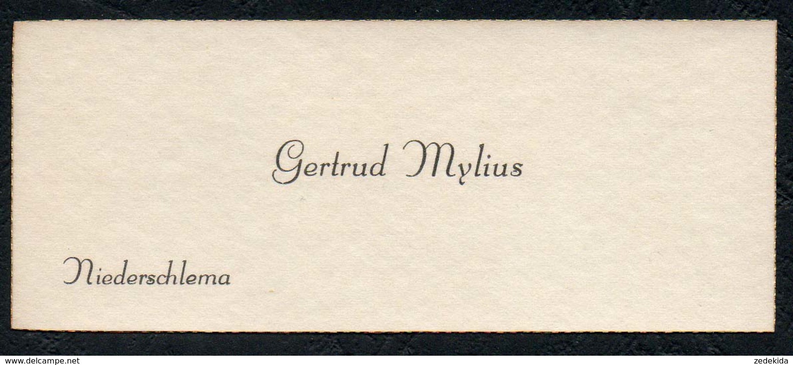 C6516 - Gertrud Mylius - Niederschlema - Visitenkarte - Visitenkarten