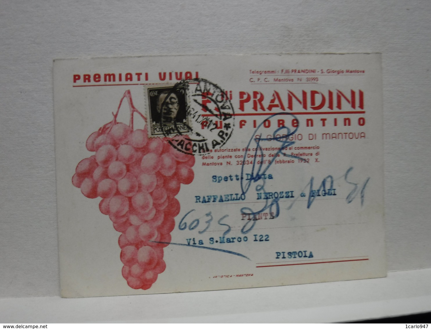 S. GIORGIO DI MANTOVA --MANTOVA -- VINO -UVA - DISTILLERIA  -- ACCESSORI  --FRATTELLI PRANDINI -- VIVAI - Vigne