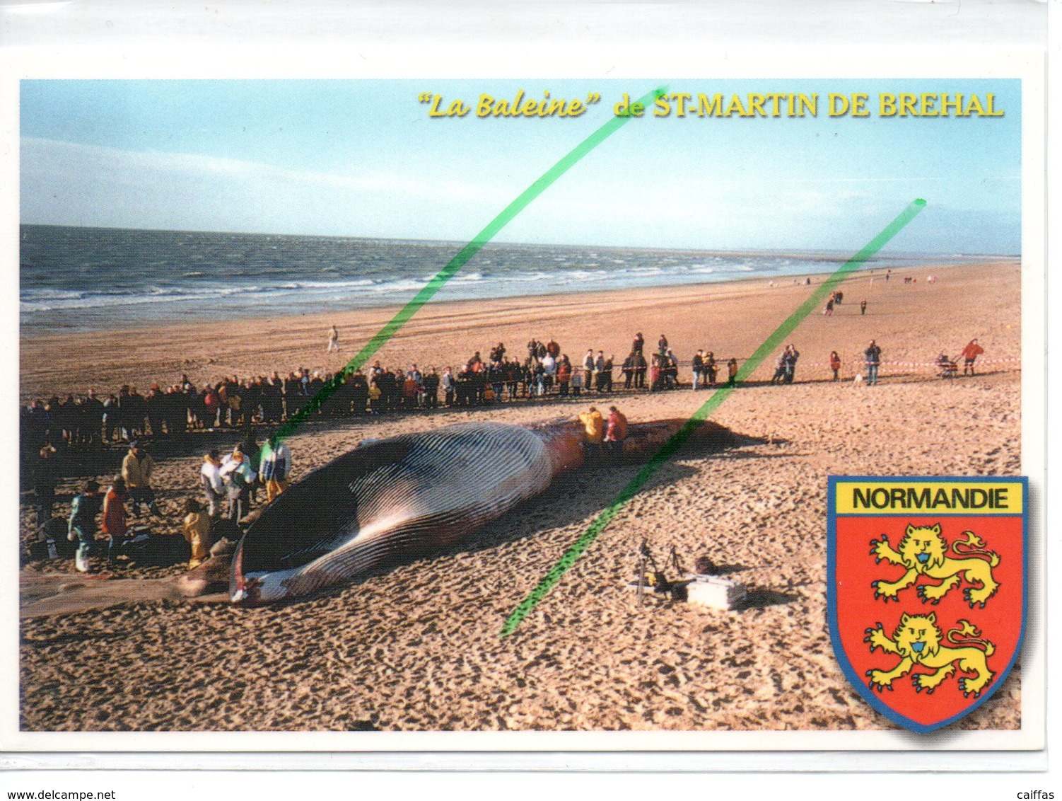 BREHAL-SAINT MARTIN DE BREHAL LA BALEINE ECHOUEE ET DYNAMITEE EN 1999 - Other & Unclassified