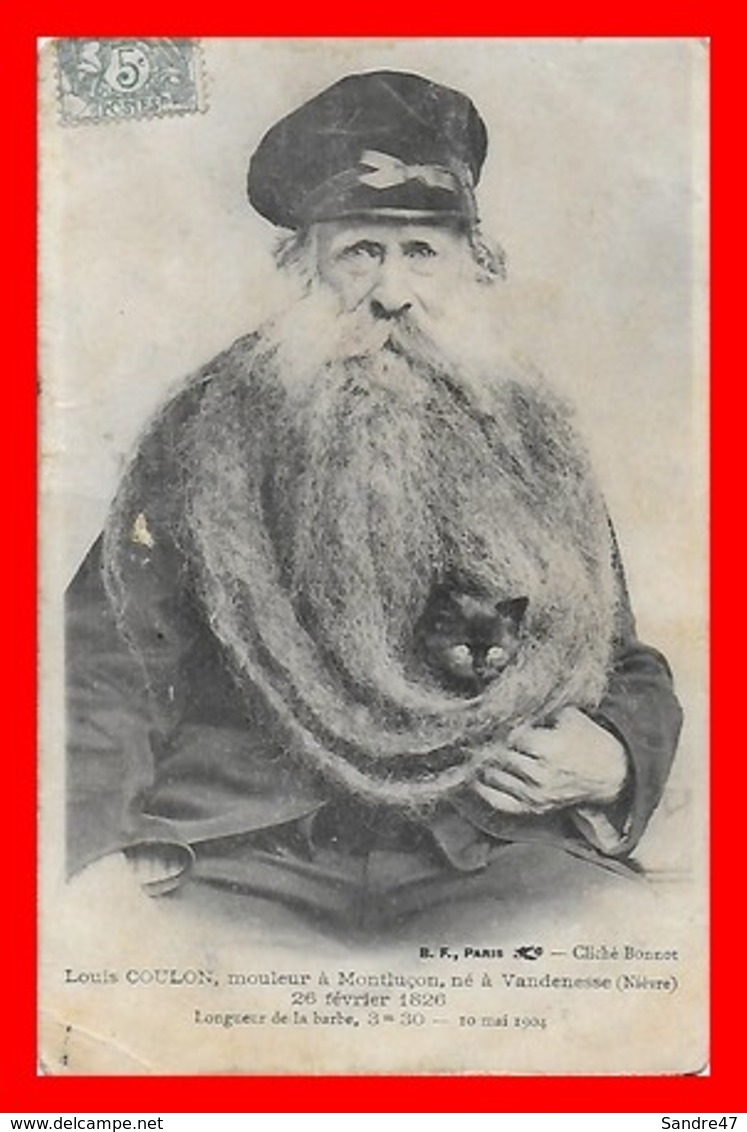 CPA CHAT.  Chat Dans La Barbe De Louis Coulon ( Longueur De La Barbe 3m30)...B037 - Katten