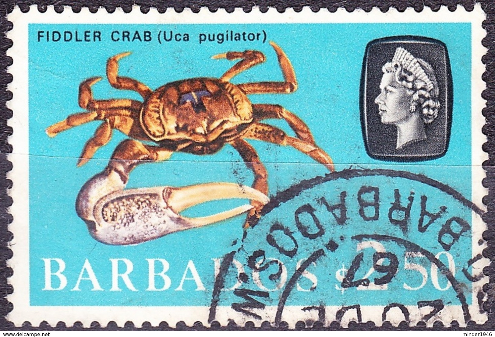 BARBADOS 1965 QEII $2.50 Multicoloured SG335 Used - Barbados (...-1966)