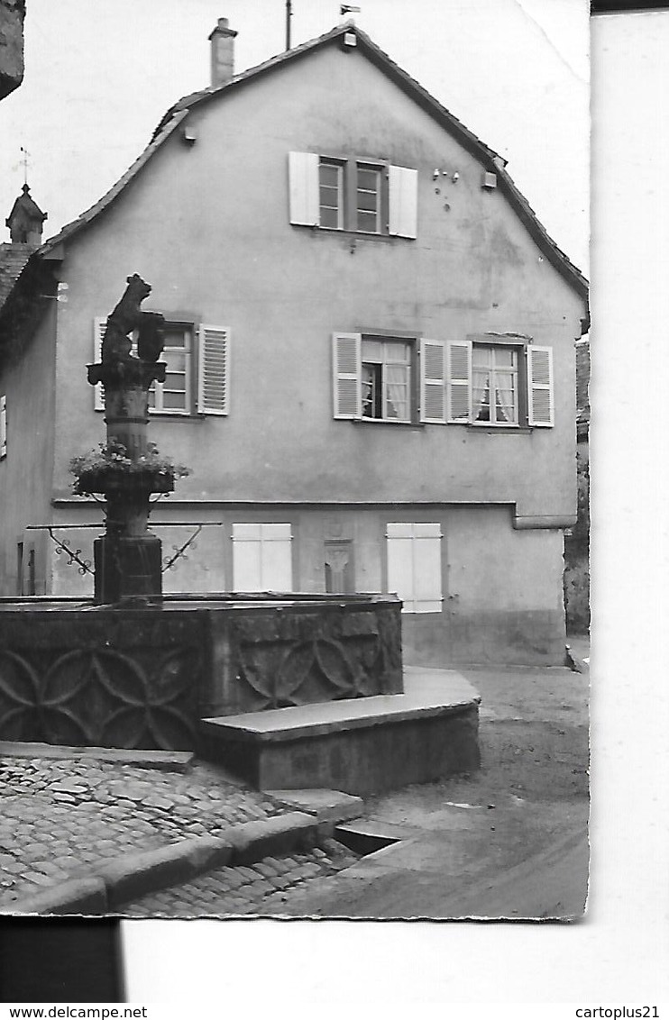 HEILIGENSTEIN    LA FONTAINE DE L OURS   FACON PHOTON Pli Coin       DEPT 67 - Autres & Non Classés