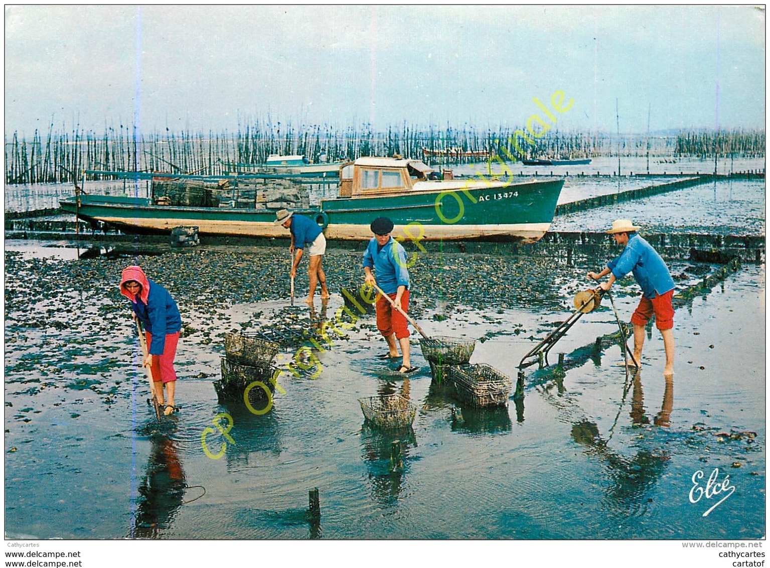 33. Bassin D'ARCACHON . Travux Ostréicoles . Ramassage Des Huitres Dans Les Parcs . - Arcachon