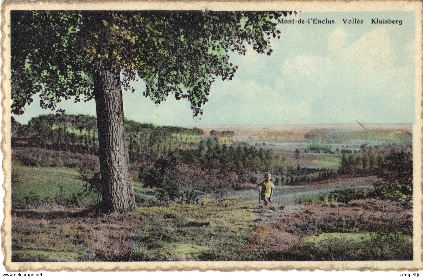 KLUISBERG      Bos En Wandeling        (sterstempel   ORROIR    1956) - Kluisbergen