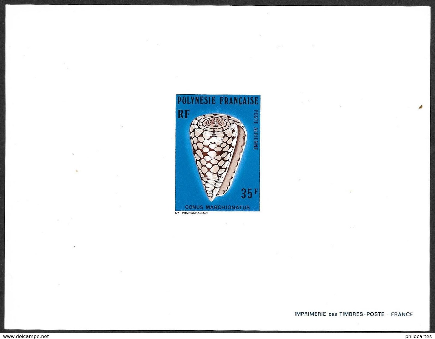 POLYNESIE  1977  -  Epreuve De Luxe  - PA   116 -  Conus Marchionatus 35f - Sin Dentar, Pruebas De Impresión Y Variedades