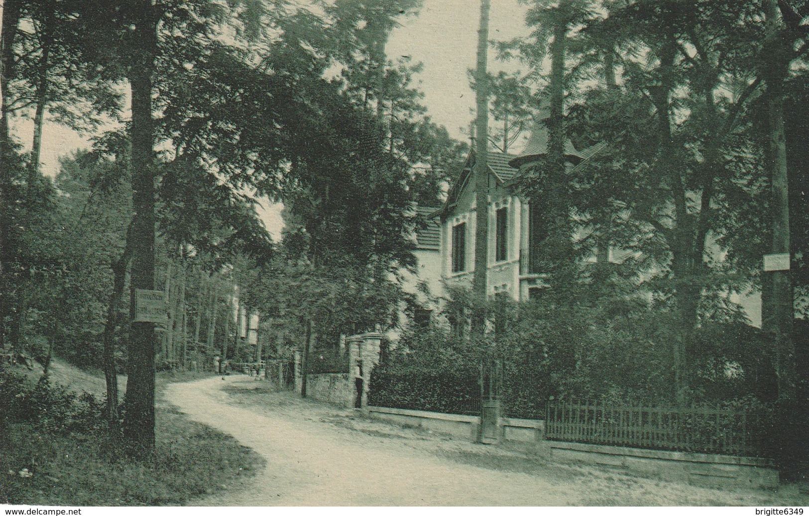 CPA  ROYAN  17 : Avenue Des Rosiers  1928 - Royan