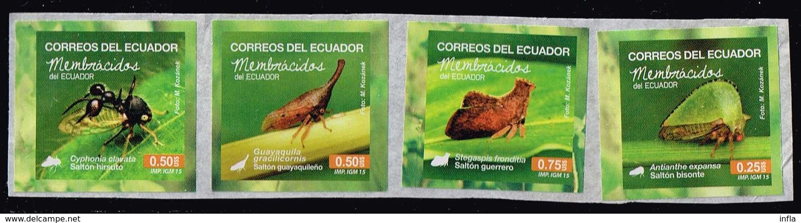 Ecuador 2015, Michel# 3630, 3631, 3632, 3628 O  Tree Hoppers - Ecuador