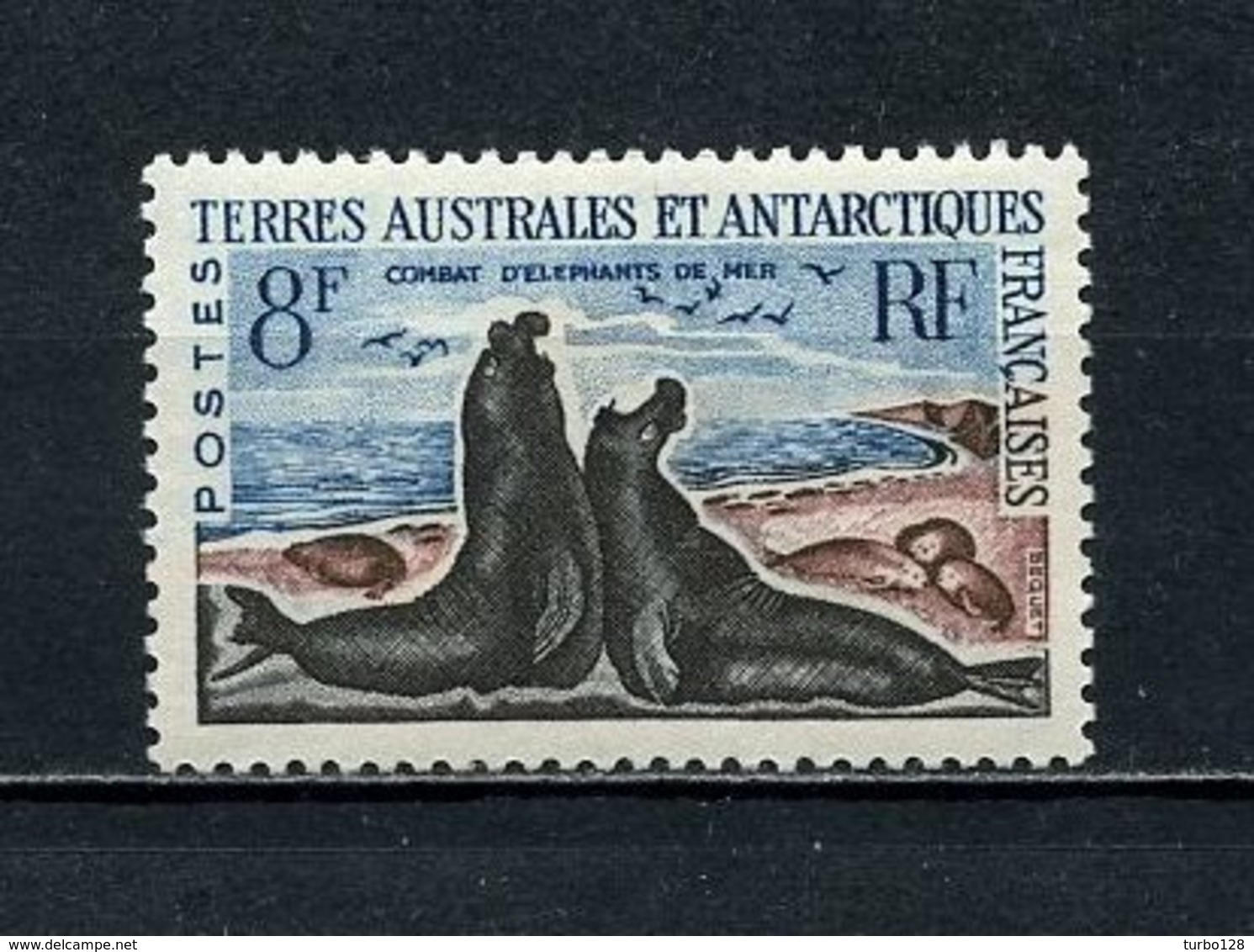 TAAF N° 13C * Neuf MH Légère Trace De Charnière C 17 € Faune Animaux Eléphants De Mer - Unused Stamps