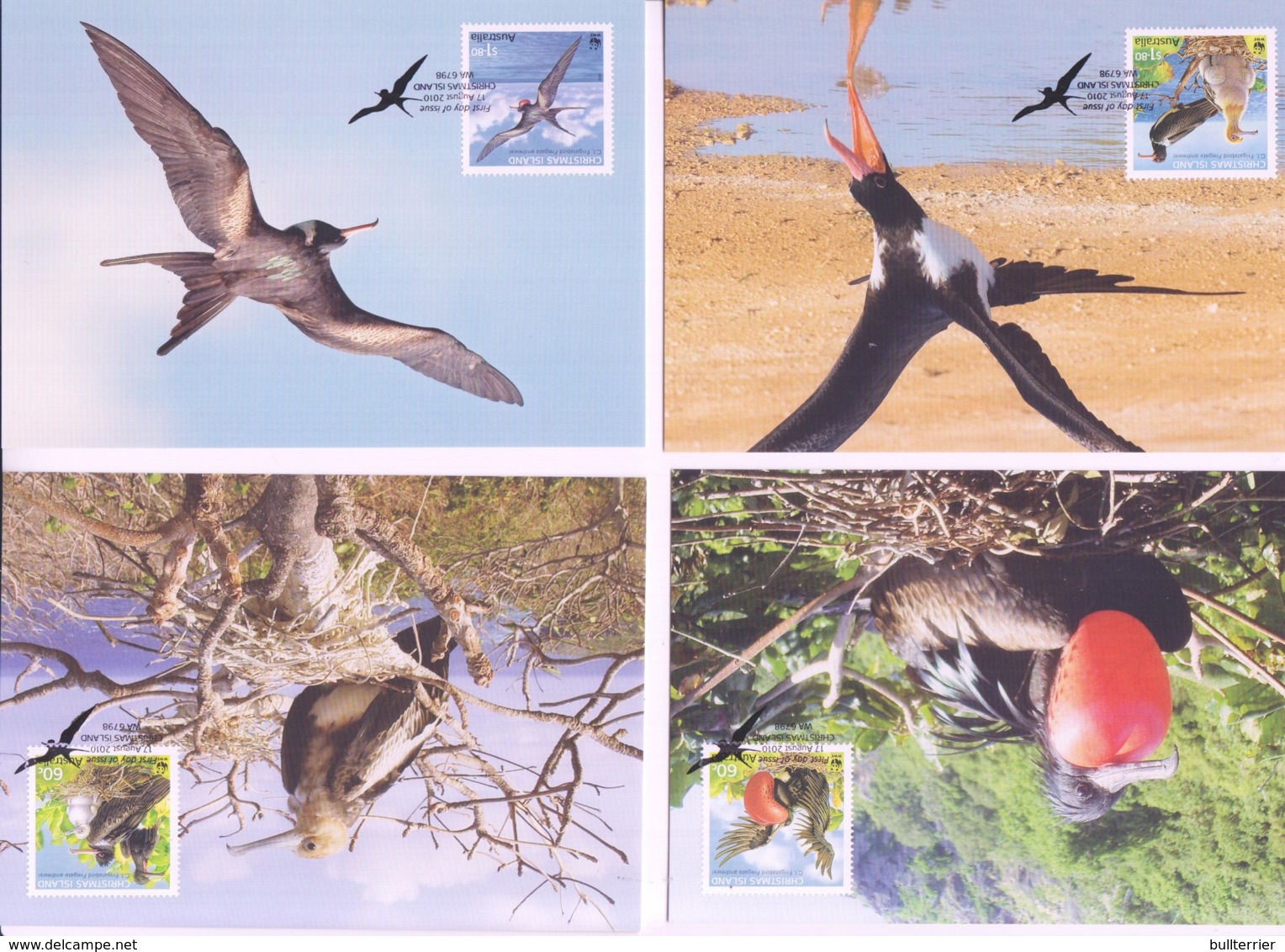 WWF - CHRISTMAS ISLAND -  2010 - WWF FRIGATE BIRD   SET  OF 4 MAXI CARDS, - Maximum Cards