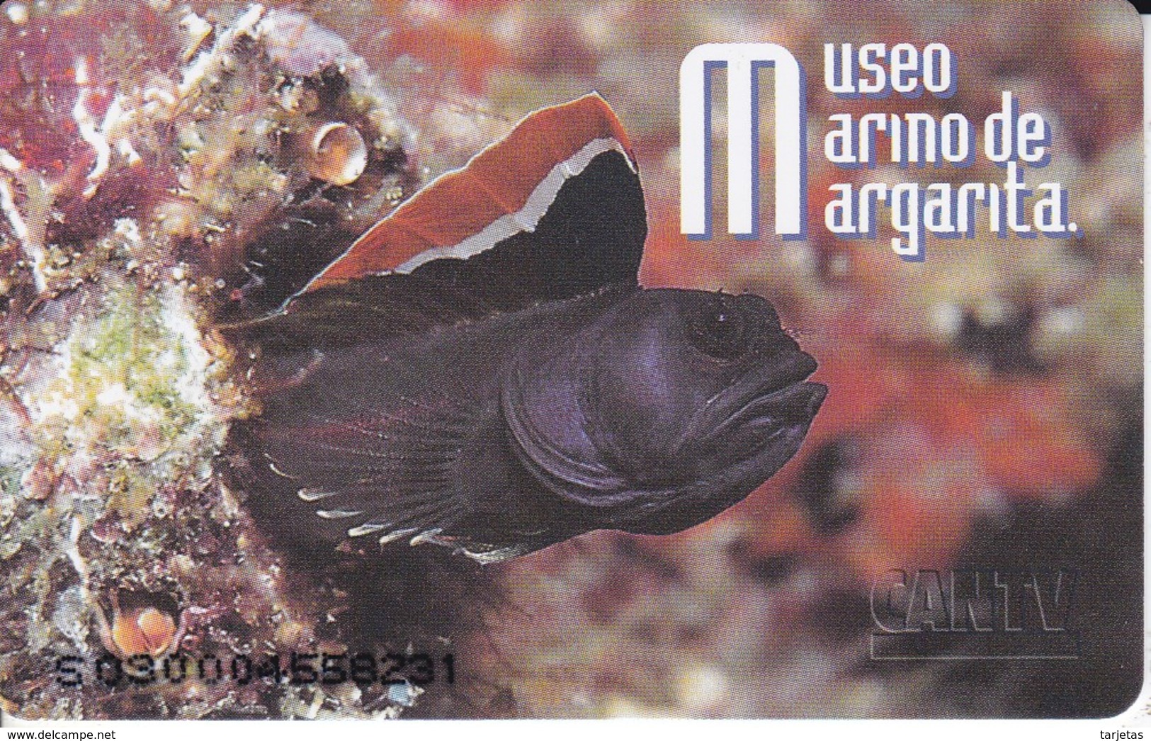 TARJETA DE VENEZUELA DE UN PEZ (SEA UNDERWATER-FISH-PEZ) - Venezuela