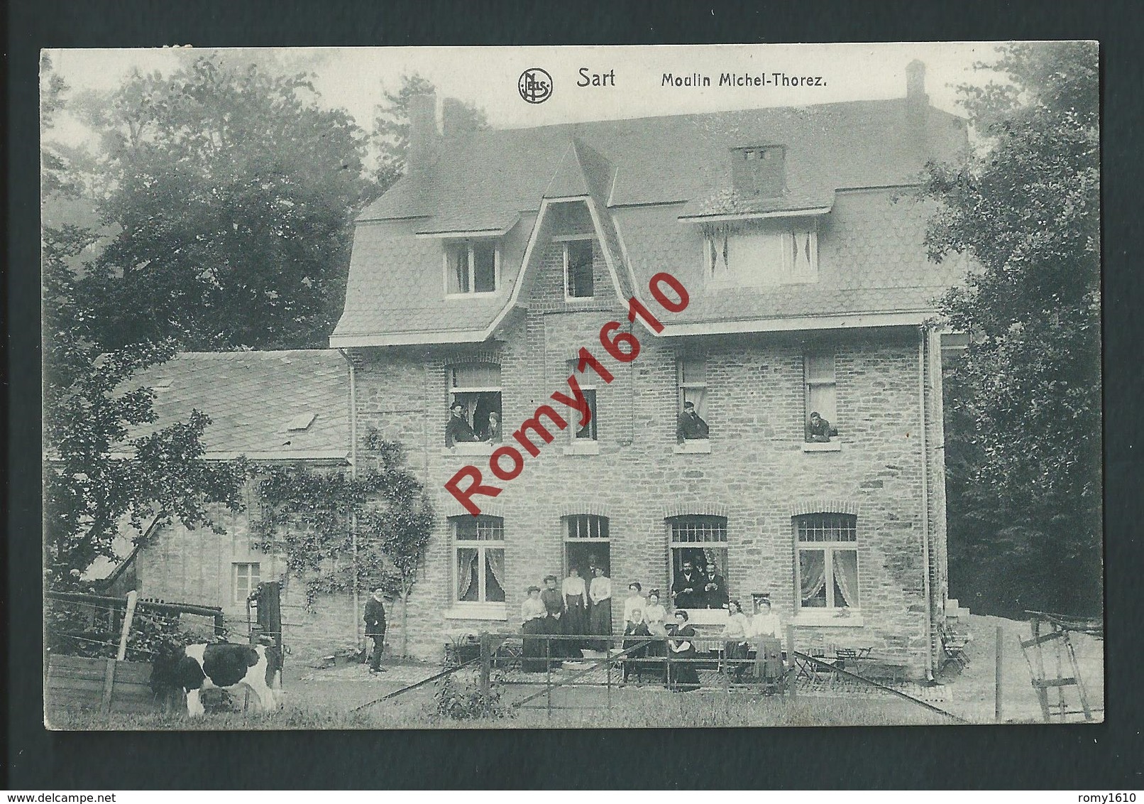 SART. (Spa) Le Moulin Michel Thorez. Circulé En 1910. Animation, Vache. Nels.   2 Scans. - Spa