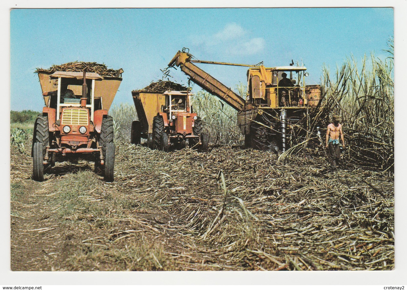 Antilles CUBA Tracteurs Récolte De La Canne à Sucre Cana De Azücar VOIR DOS Timùbre Champignon Amanite En 1988 - Cuba