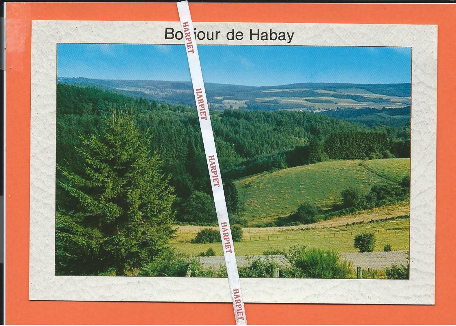 HABAY-LA-NEUVE  -   Lot De 23  Cartes Postales - Habay