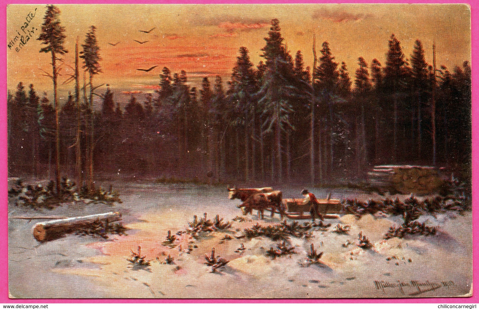 Illustration A. MÜLLER - Mueller - Attelage Tiré Par Des Boeufs - Traineau - Hiver - Forêt - 1904 - Müller, August - München