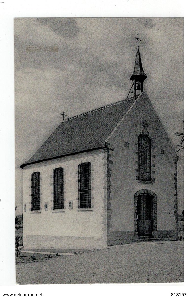 Appelterre  Kapel O.L.V. Ten Beukenboom - Ninove