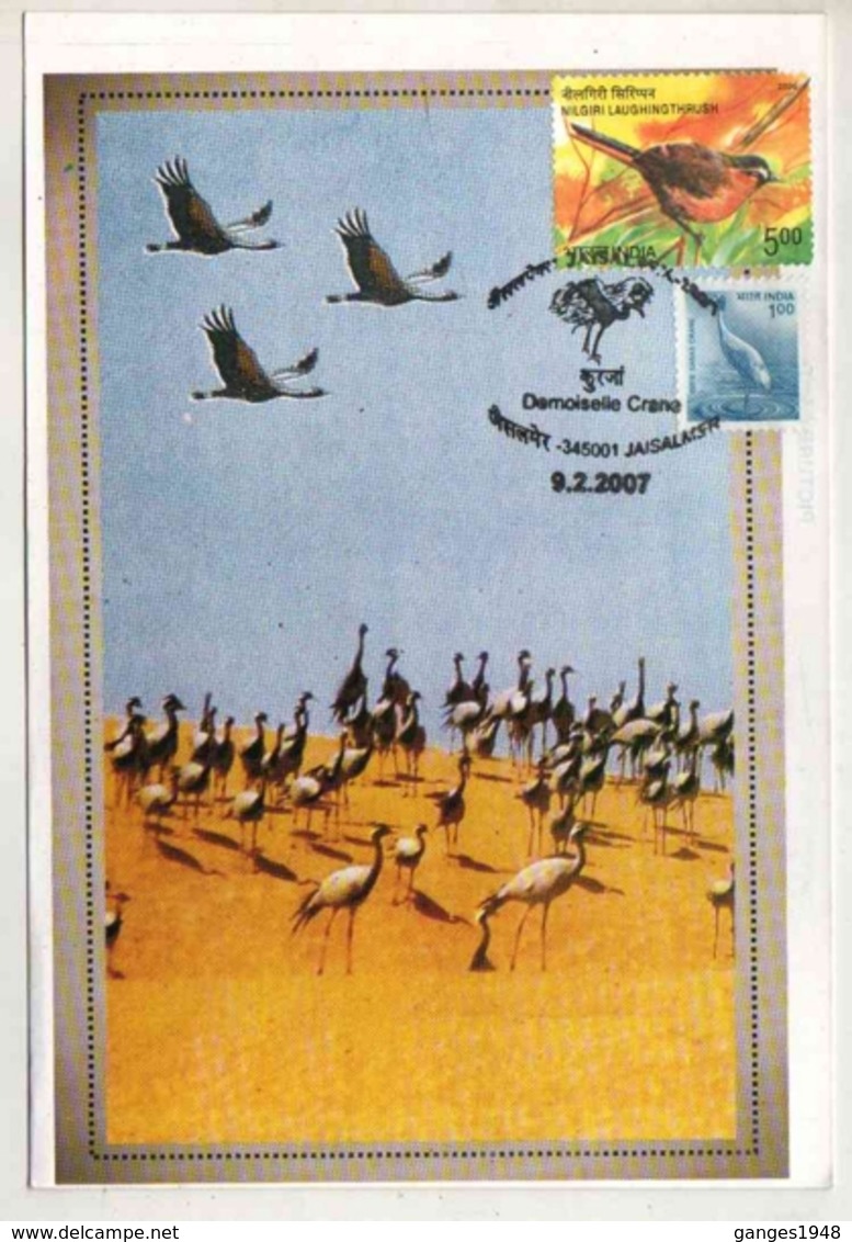 India  2007 Cranes Birds Jaisalmer Special Cancellation Card  # 18735   D  Inde Indien - Grues Et Gruiformes