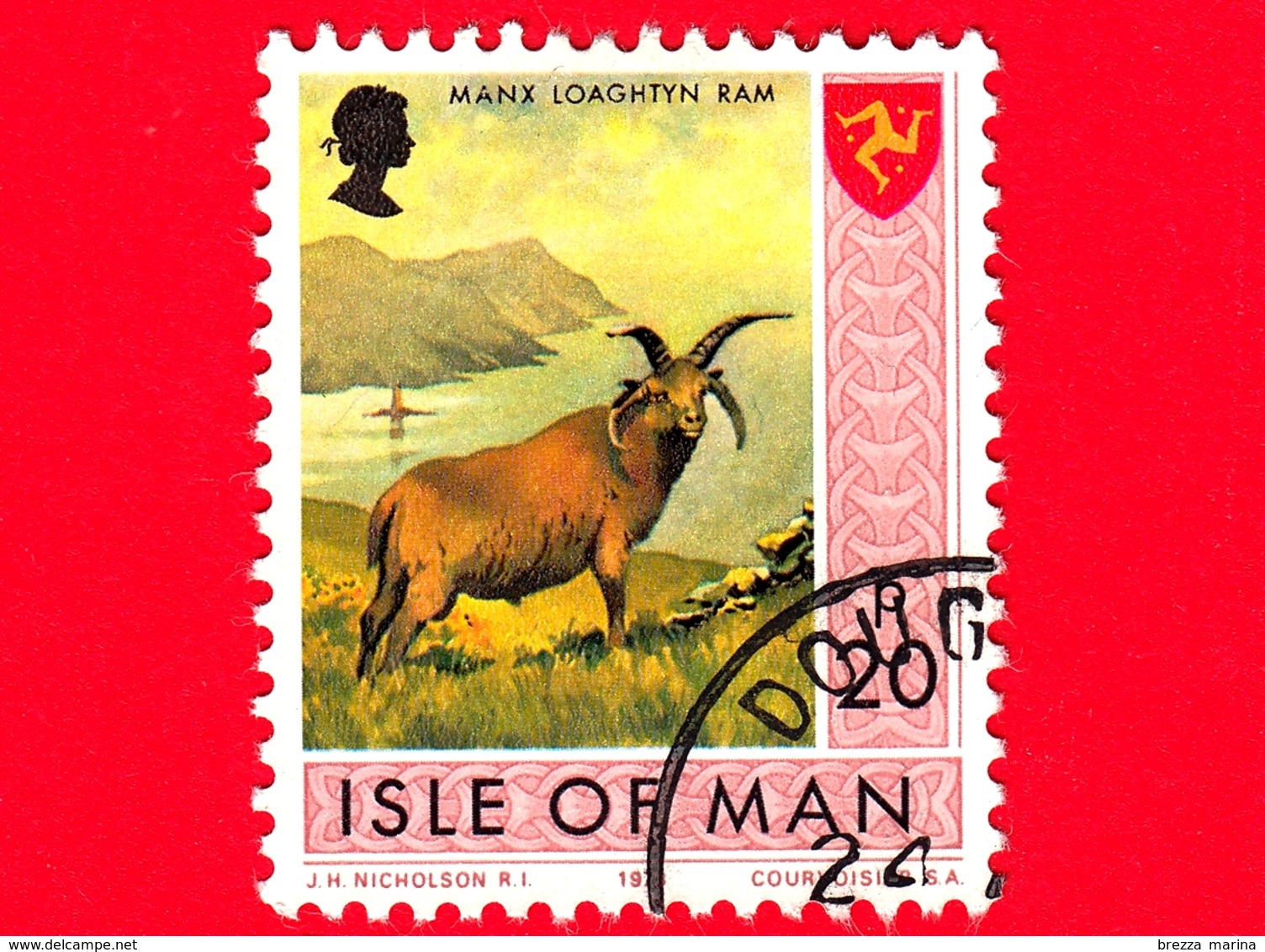 Isola Di MAN - Usato - 1973 - Paesaggi - Animali - Pecore - Manx Loaghtyn Ram (Ovis Orientalis Aries) - 20 P - Isola Di Man