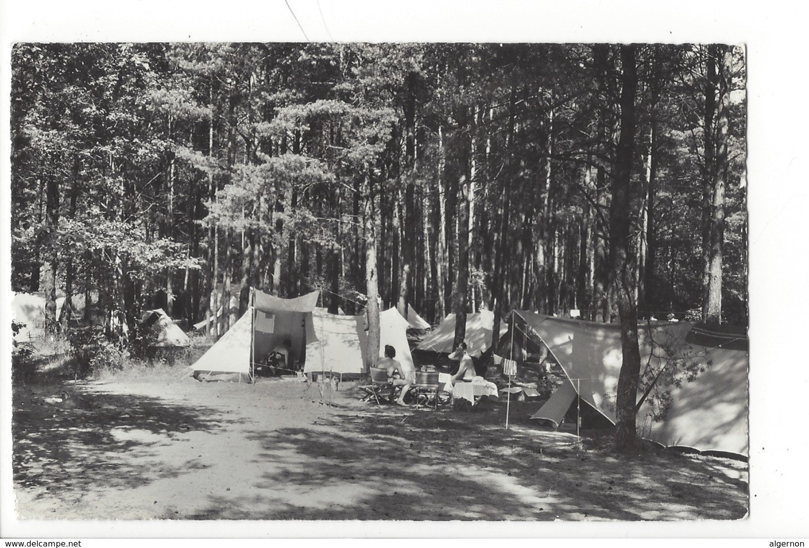23019 - Yvonand Camp VD 8 Pointe D'Yvonand Circulée 1960 - Yvonand