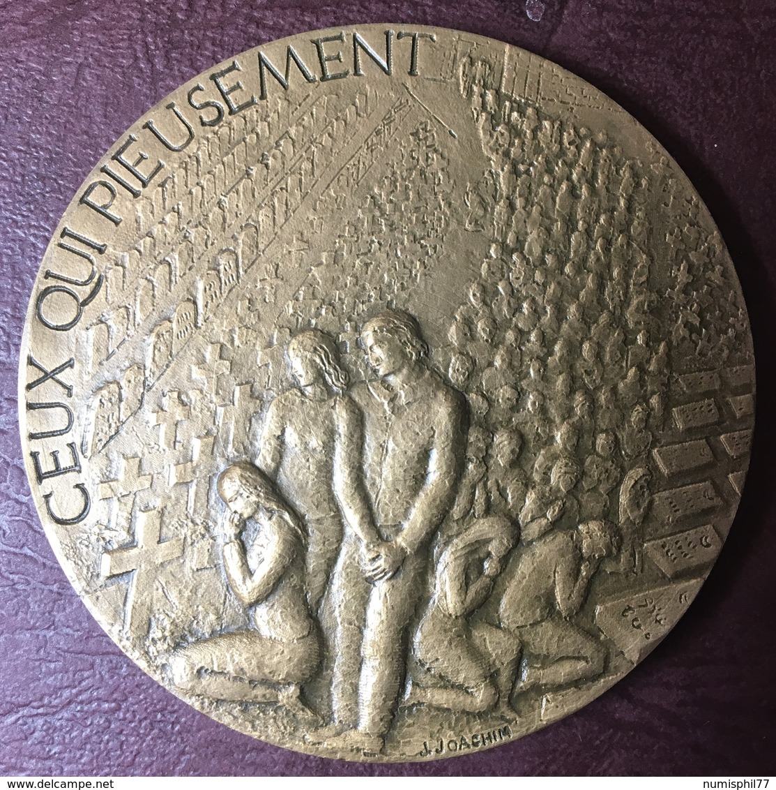 FRANCE - Médaille LE SOUVENIR FRANCAIS Par J. Joachim - Professionnels/De Société