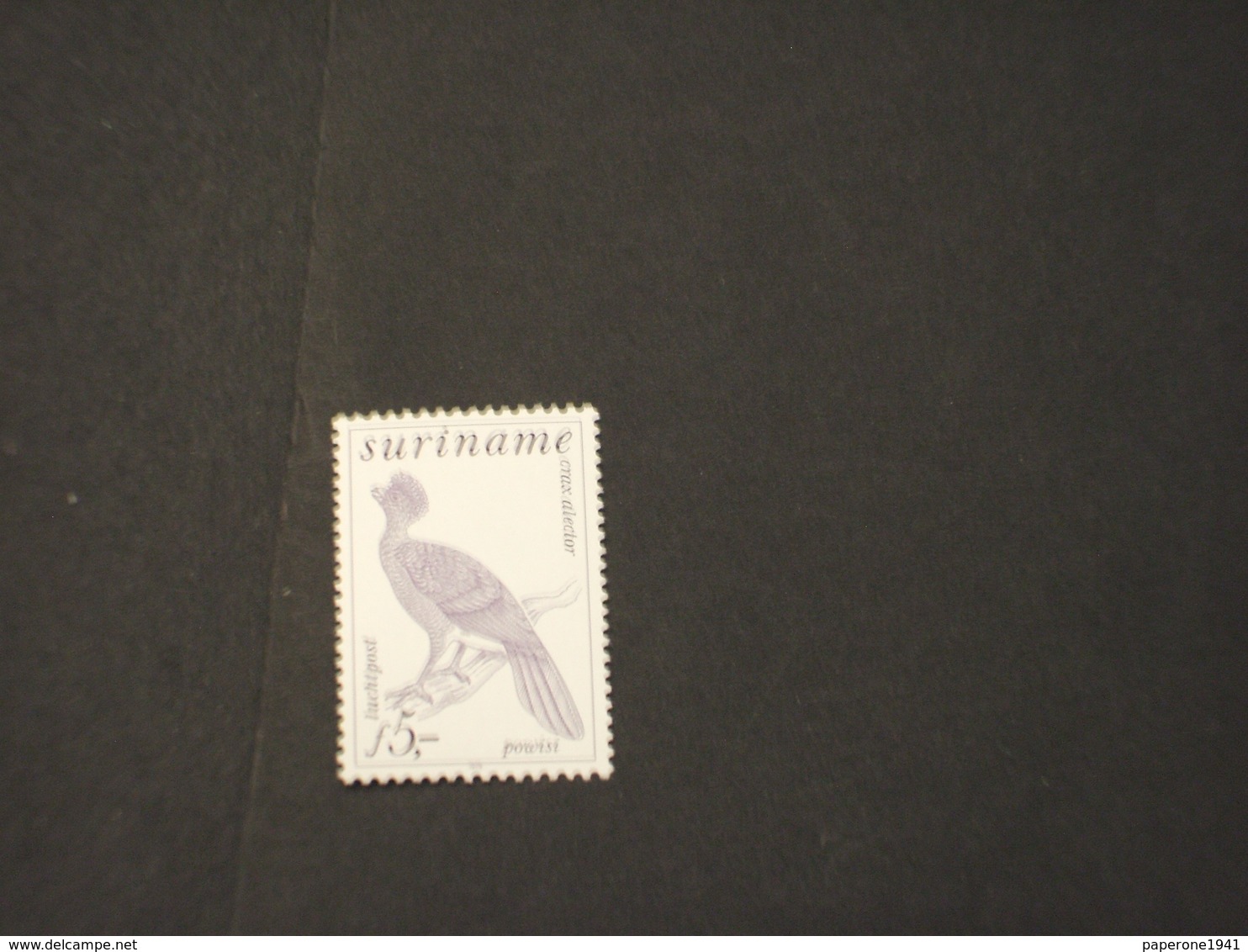 SURINAME - P.A. 1979 UCCELLO  - NUOVI(++) - Suriname