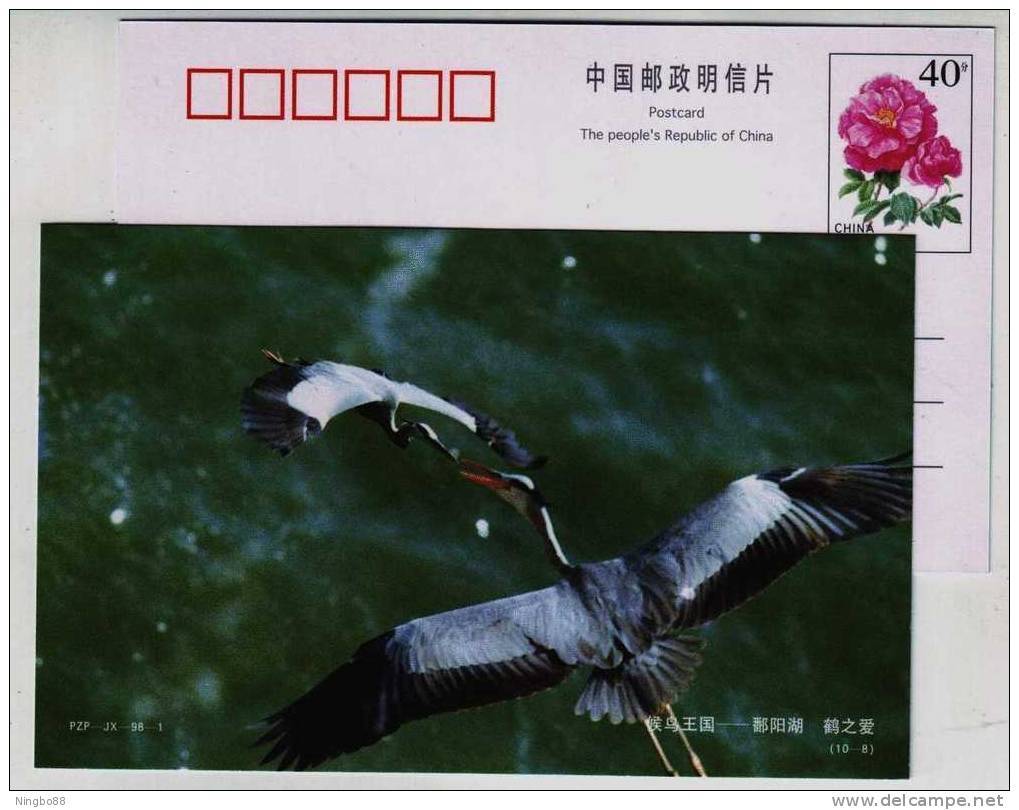 Crane Love,bird Feeding,kingdom Of Migratory Bird,China 1998 Poyanghu Lake Landscape Pre-stamped Card - Grues Et Gruiformes