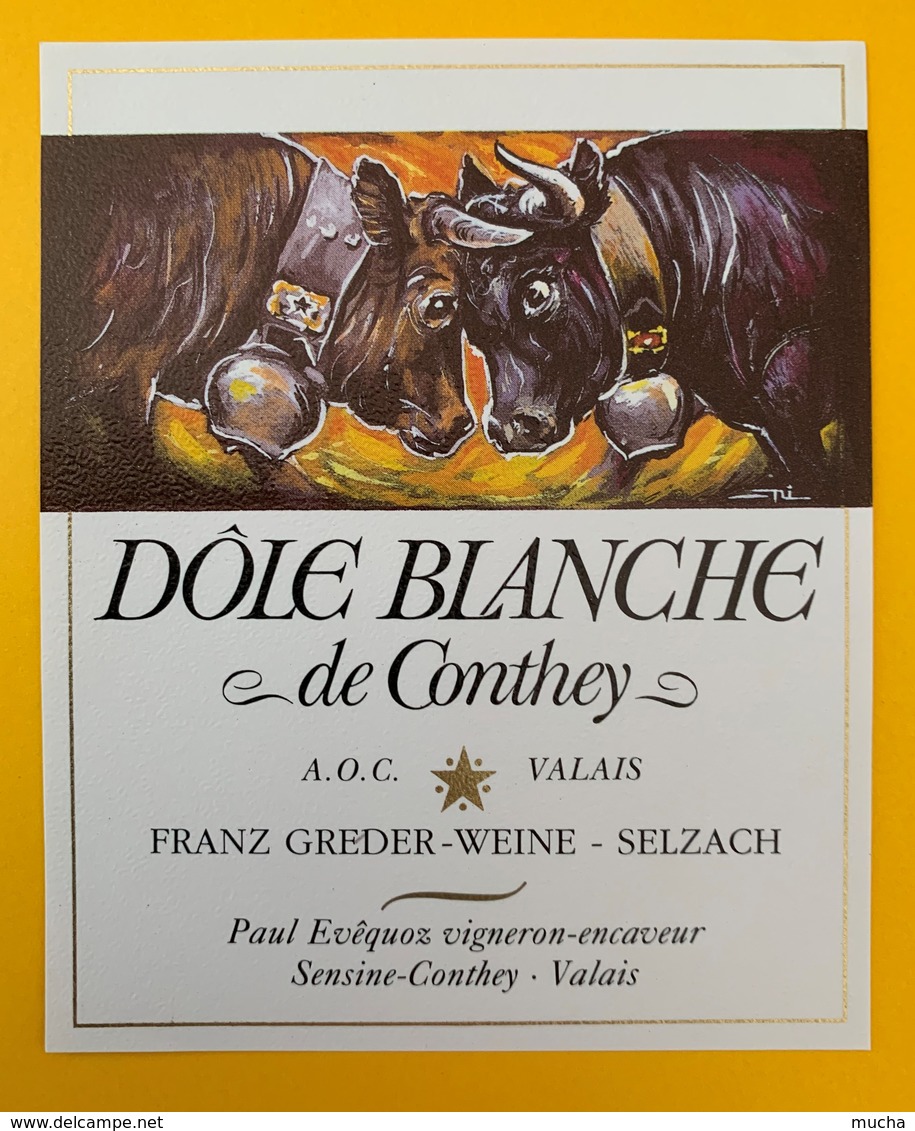 10631  - Dôle Blanche De Conthey Suisse Combats De Reines - Cows