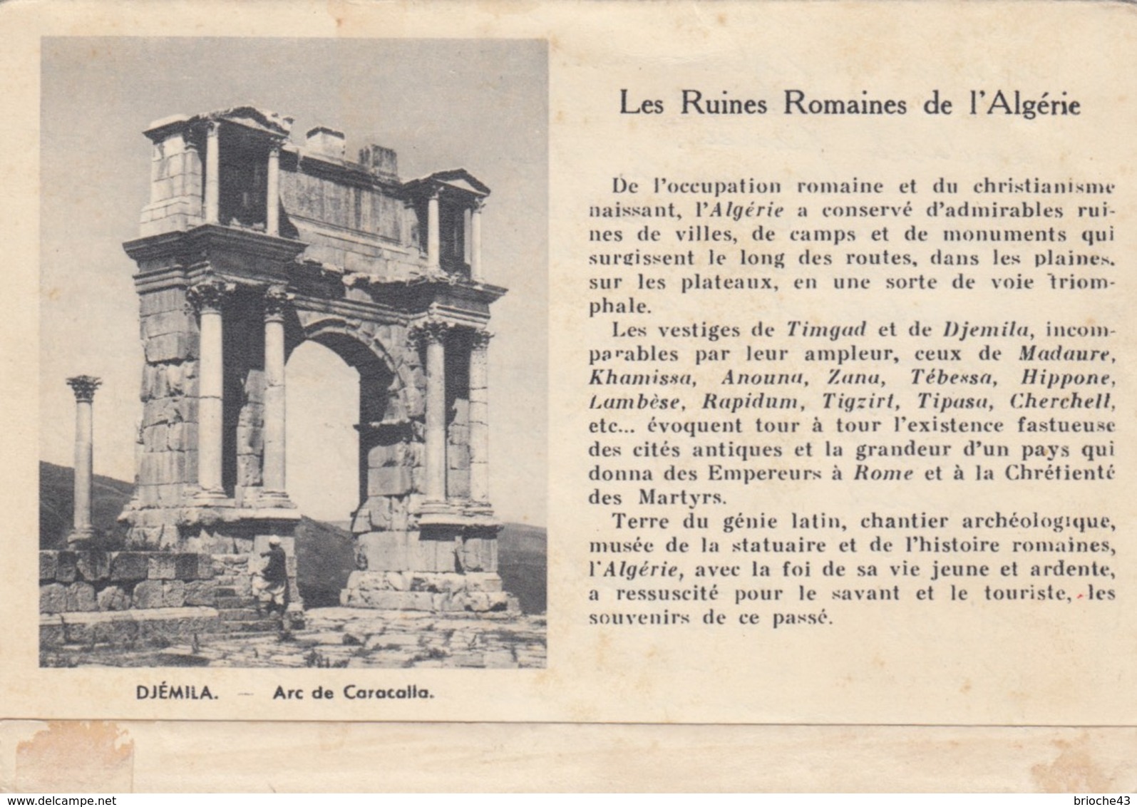 ALGERIE  -  CARTE-LETTRE ALGER 17.10..1952 POUR PARIS - TIMGAD LE THÉÂTRE   /1 - Lettres & Documents