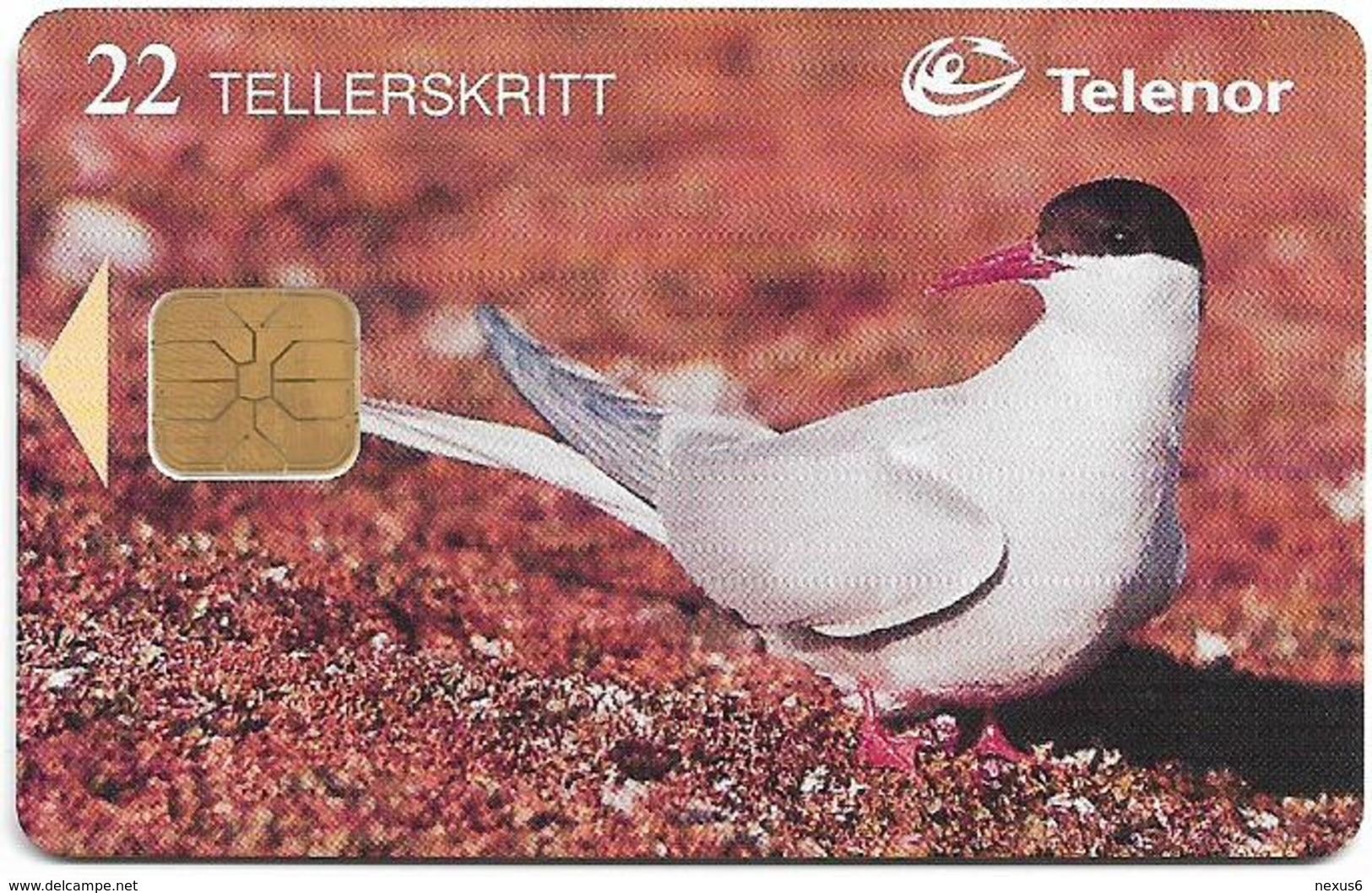 Svalbard - Telenor (Norway) - Rodnebbterne - N-115 - 03.1998, 16.000ex, Used - Svalbard