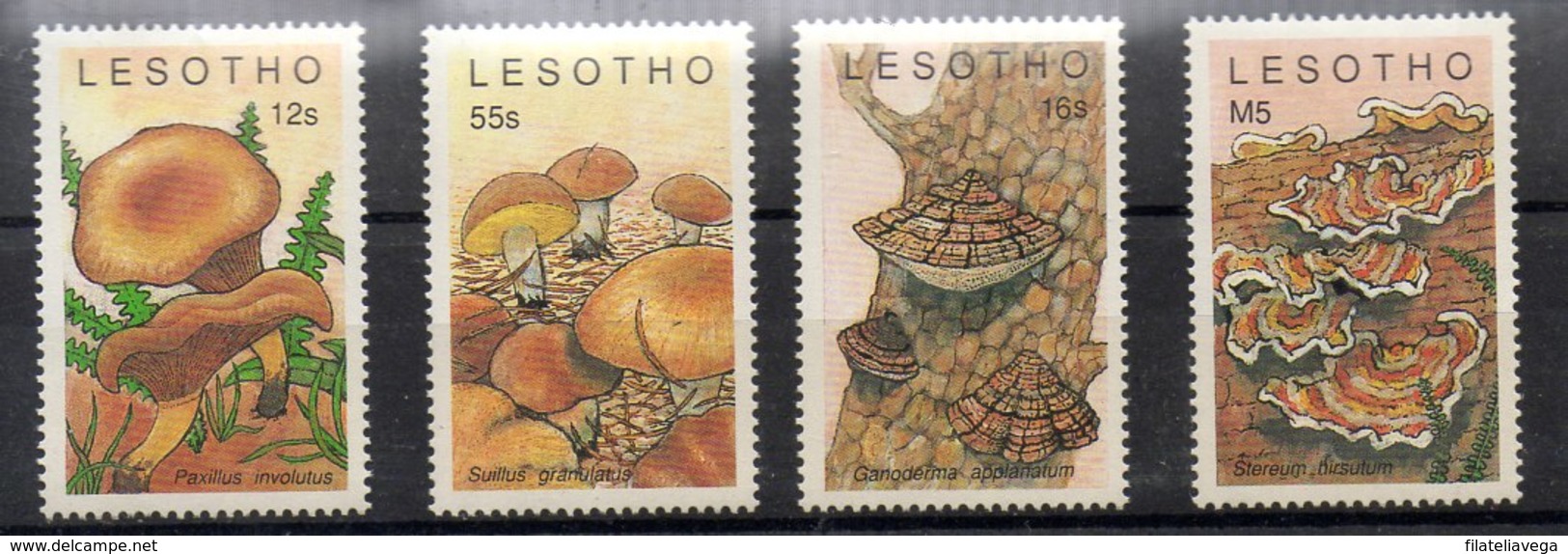 Serie De Lesotho N ºYvert 852/55 ** SETAS (MUSHROOMS) - Lesotho (1966-...)