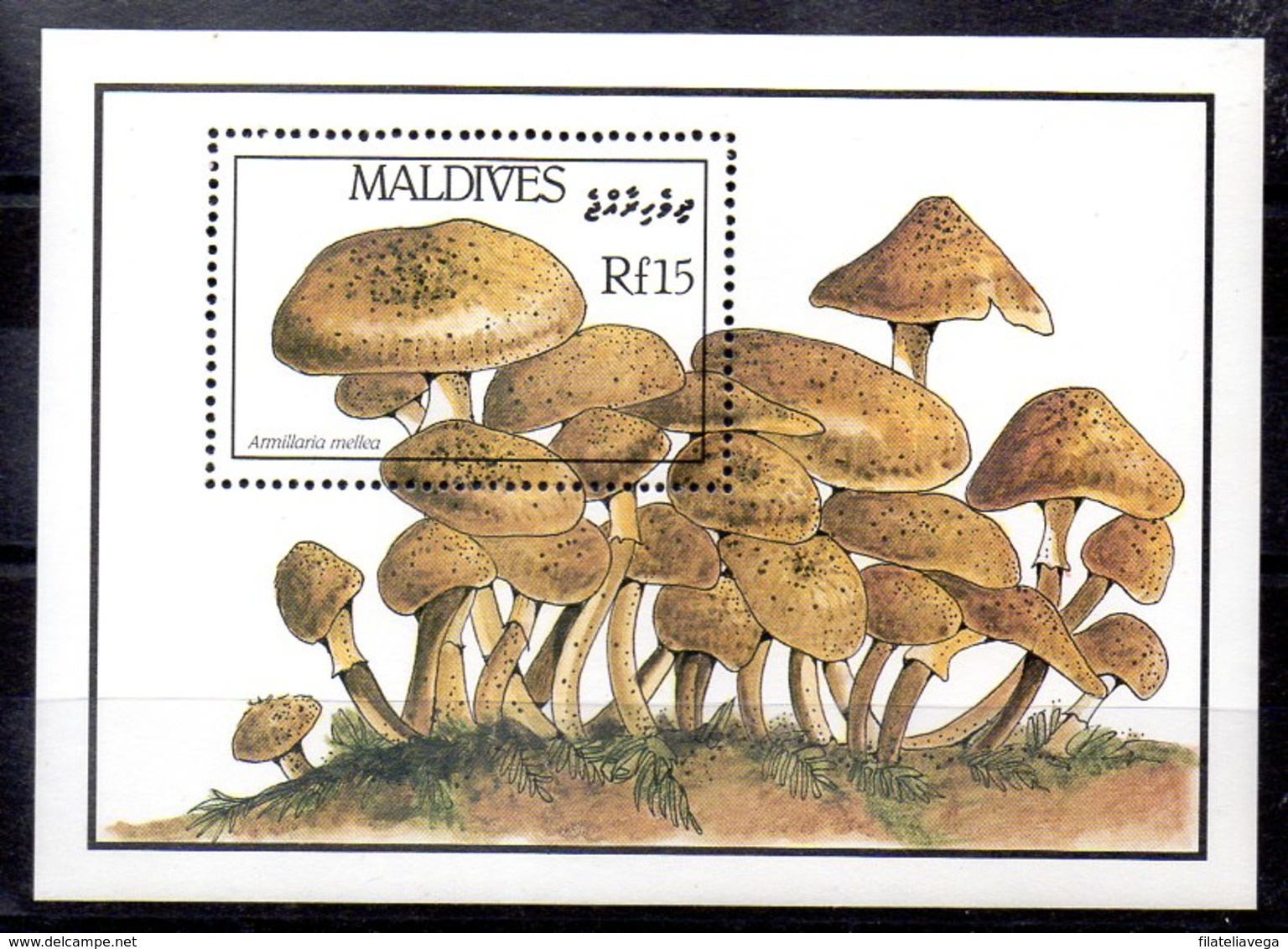 Hoja Bloque De Maldivas N ºYvert 128 ** SETAS (MUSHROOMS) - Maldivas (1965-...)