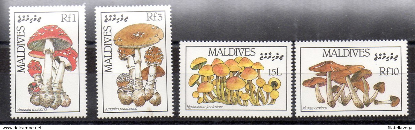 Serie De Maldivas N ºYvert 1106/09 ** SETAS (MUSHROOMS) - Maldivas (...-1965)