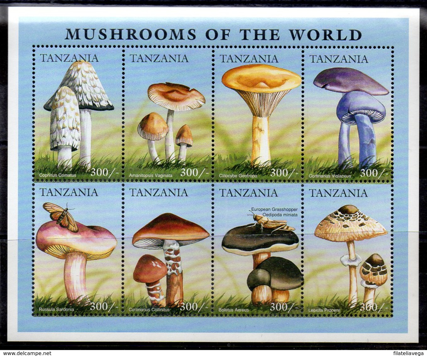 Serie De Tanzania N ºYvert 2105/12 ** SETAS (MUSHROOMS) - Tanzania (1964-...)