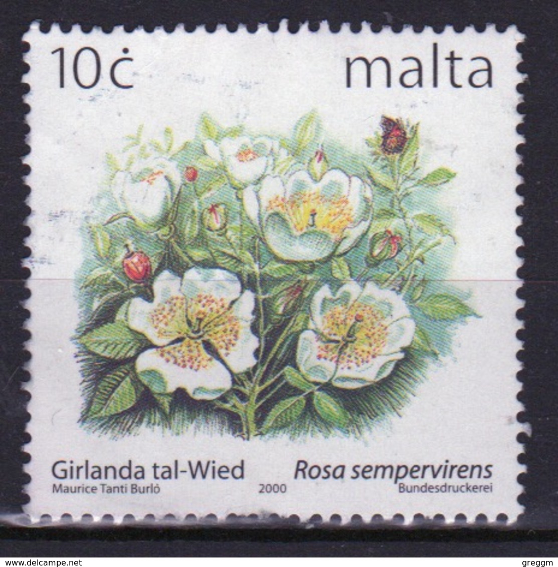 Malta 1999 Single 10c Stamp To Celebrate Maltese Flowers. - Malta