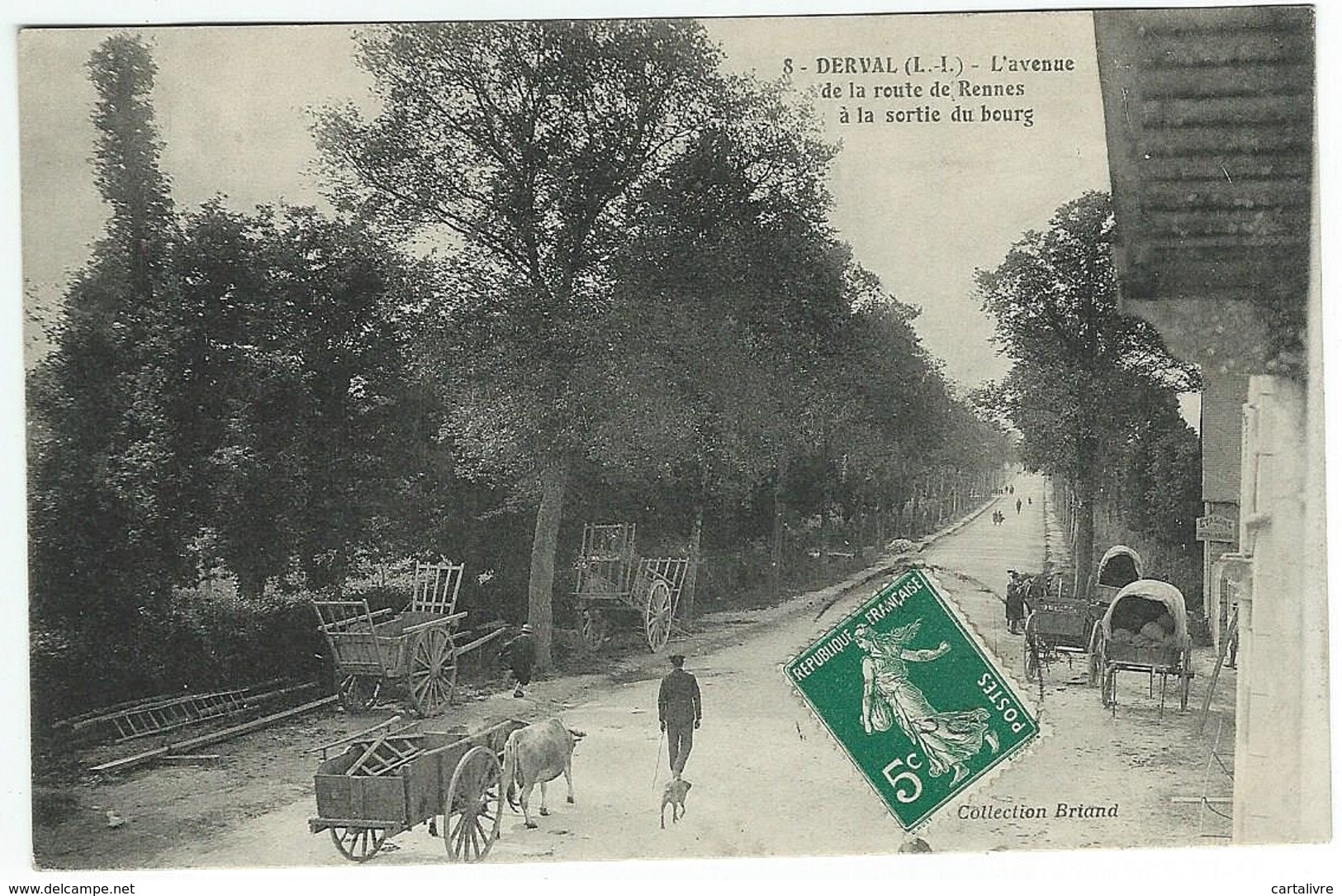 DERVAL L'avenue De La Route De Rennes à La Sortie Du Bourg (collection Briand 8 - Animée Attelages Carrioles Charettes) - Derval