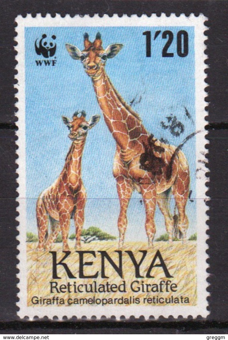 Kenya 1989 Single 1.20  Stamp To Celebrate The Reticulated Giraffe. - Kenya (1963-...)