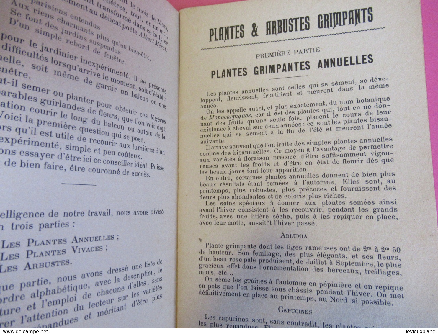 Fascicule/Horticulture Pratique/Plantes Et Arbustes Grimpants/ Charles LEMAIRE//Bornemann/Paris/1908        LIV159 - Garden