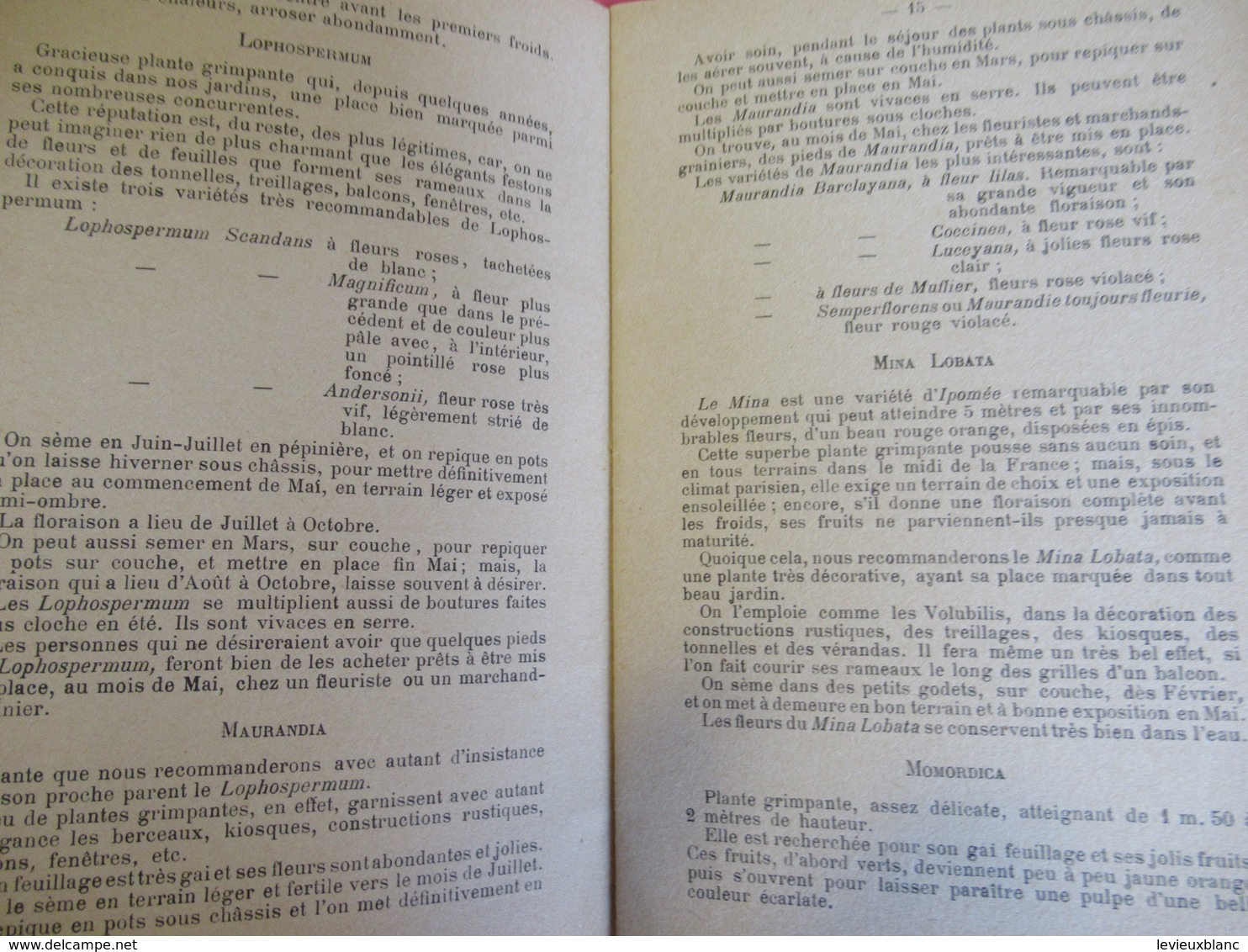 Fascicule/Horticulture Pratique/Plantes Et Arbustes Grimpants/ Charles LEMAIRE//Bornemann/Paris/1908        LIV159 - Garden