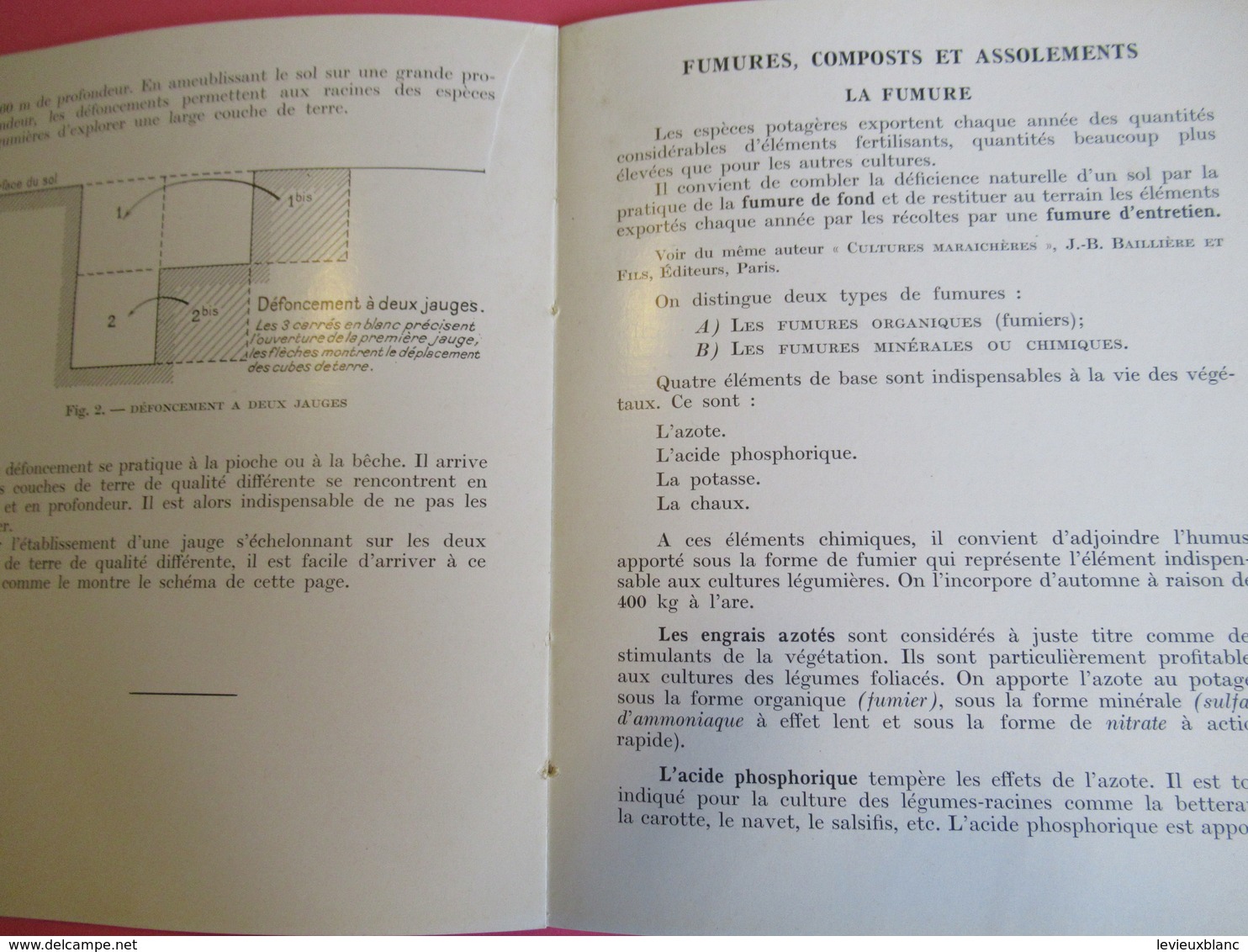 Fascicule/Horticulture Pratique/Votre Potager/Création-entretien/Collection Connaitre/ Paris/Bailliére/ 1955  LIV160 - Garden