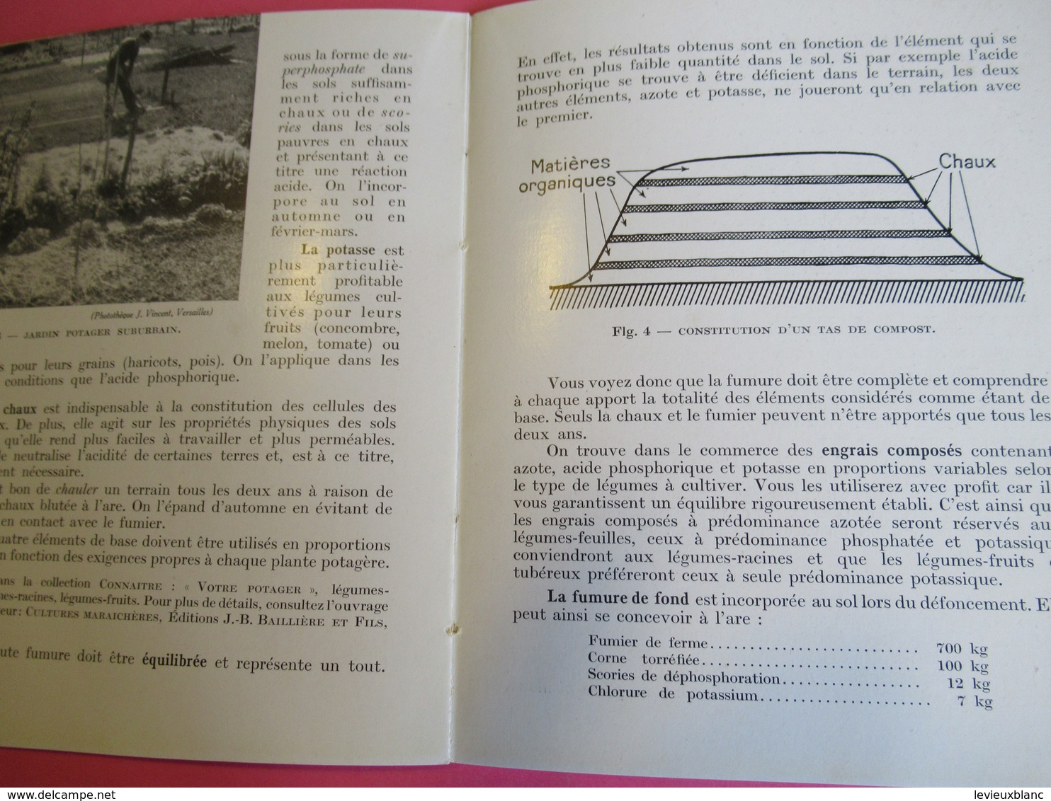 Fascicule/Horticulture Pratique/Votre Potager/Création-entretien/Collection Connaitre/ Paris/Bailliére/ 1955  LIV160 - Garden