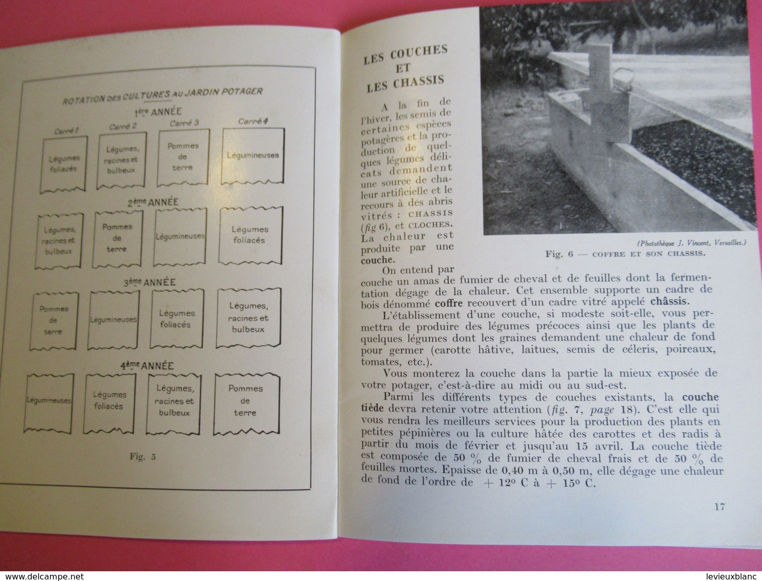 Fascicule/Horticulture pratique/Votre potager/Création-entretien/Collection Connaitre/ Paris/Bailliére/ 1955  LIV160