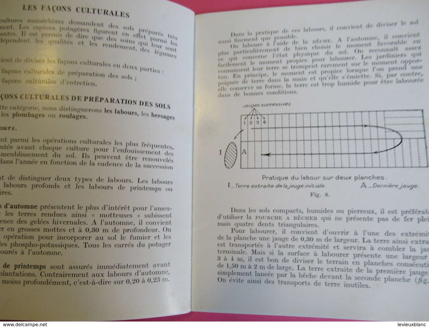 Fascicule/Horticulture pratique/Votre potager/Création-entretien/Collection Connaitre/ Paris/Bailliére/ 1955  LIV160