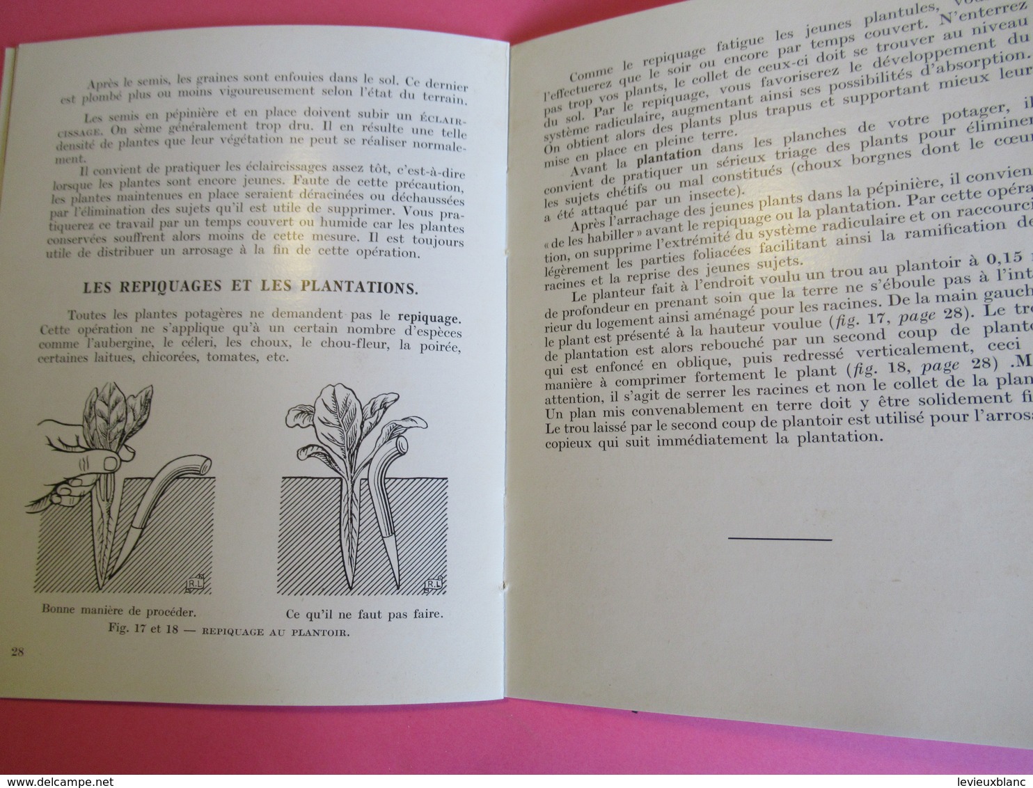 Fascicule/Horticulture pratique/Votre potager/Création-entretien/Collection Connaitre/ Paris/Bailliére/ 1955  LIV160