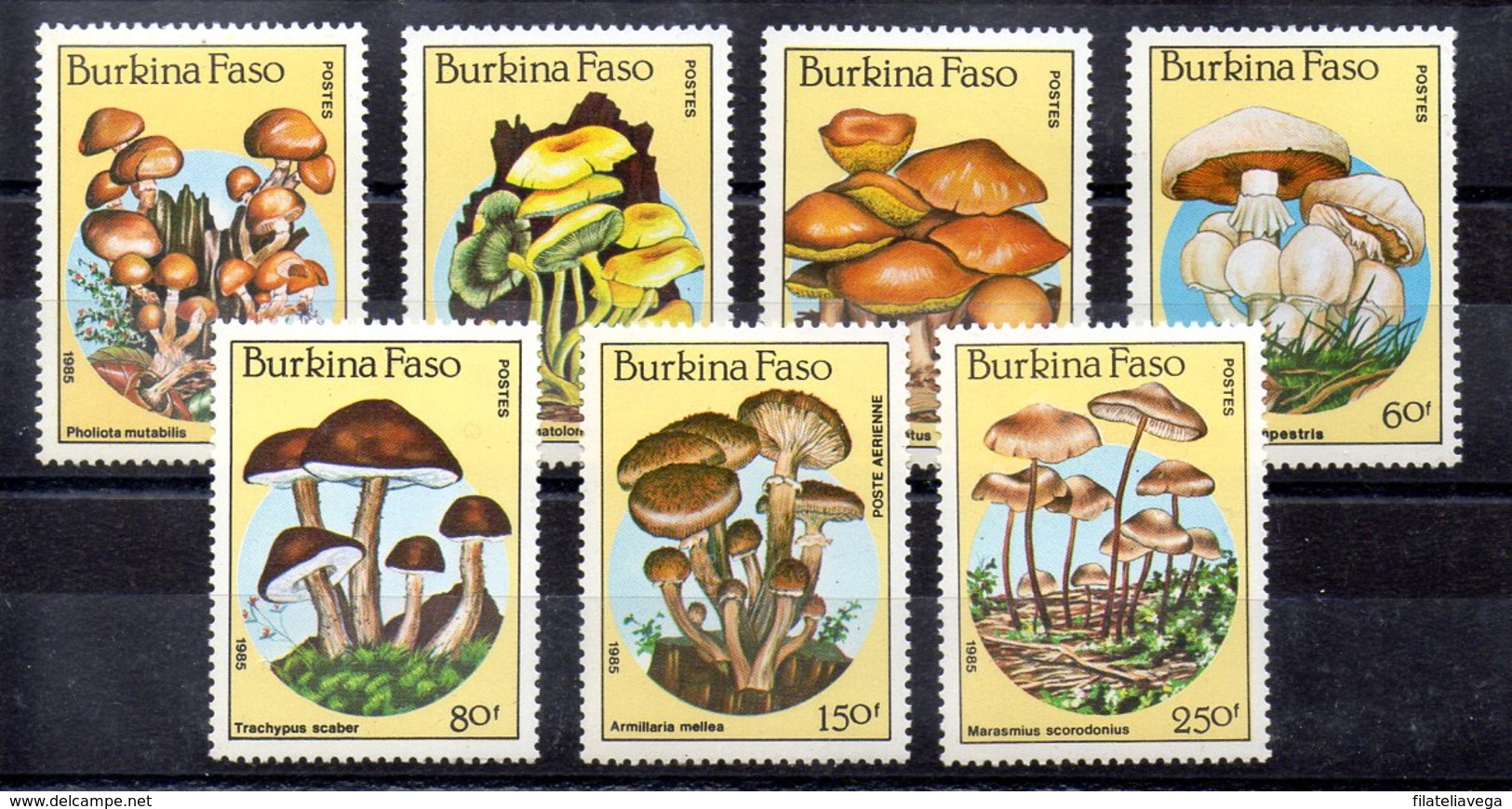 Serie De BurKina Faso Nº Yvert 676/81 ** SETAS (MUSHROOMS) - Hongos