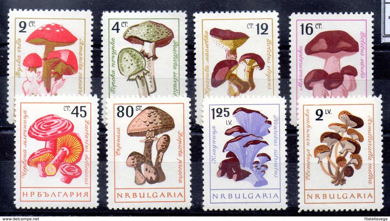 Serie De Bulgaria Nº Yvert 1099/06 ** SETAS (MUSHROOMS) - Unused Stamps