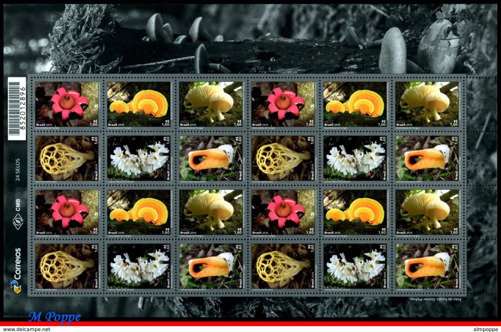 Ref. BR-V2019-08-F BRAZIL 2019 FLOWERS, PLANTS, DIVERSITY OF FUNGI,, MUSHROOMES, MERCOSUL SERIES, SHEET MNH 24V - Blocks & Kleinbögen