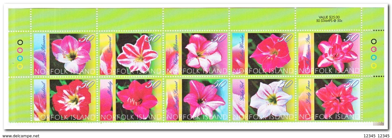 Norfolk Eiland 2004, Postfris MNH, Flowers, Hippeastrums ( Booklet, Carnet ) - Norfolk Island